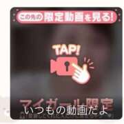 ヒメ日記 2025/06/17 17:42 投稿 なぎ 名古屋ちゃんこ