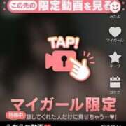 ヒメ日記 2025/07/17 23:41 投稿 なぎ 名古屋ちゃんこ