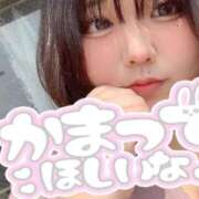 ヒメ日記 2025/09/13 15:57 投稿 なぎ 名古屋ちゃんこ