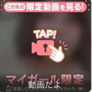 ヒメ日記 2025/09/17 14:41 投稿 なぎ 名古屋ちゃんこ