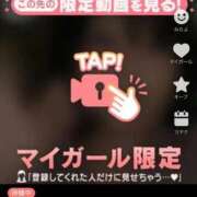 ヒメ日記 2025/09/19 19:47 投稿 なぎ 名古屋ちゃんこ