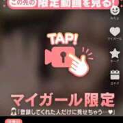 ヒメ日記 2025/09/22 16:04 投稿 なぎ 名古屋ちゃんこ