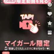 ヒメ日記 2025/10/08 20:37 投稿 なぎ 名古屋ちゃんこ