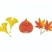 ヒメ日記 2025/10/21 19:35 投稿 なぎ 名古屋ちゃんこ