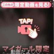 ヒメ日記 2025/11/04 19:52 投稿 なぎ 名古屋ちゃんこ