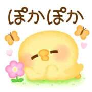 ヒメ日記 2025/12/01 11:38 投稿 なぎ 名古屋ちゃんこ