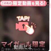 ヒメ日記 2025/12/01 13:31 投稿 なぎ 名古屋ちゃんこ