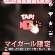 ヒメ日記 2025/12/04 19:38 投稿 なぎ 名古屋ちゃんこ