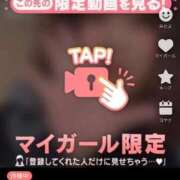 ヒメ日記 2025/12/16 16:53 投稿 なぎ 名古屋ちゃんこ