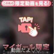 ヒメ日記 2025/12/31 15:51 投稿 なぎ 名古屋ちゃんこ