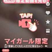 ヒメ日記 2026/01/25 00:16 投稿 なぎ 名古屋ちゃんこ