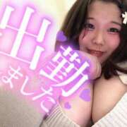 ヒメ日記 2026/01/26 12:28 投稿 なぎ 名古屋ちゃんこ