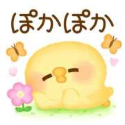 ヒメ日記 2026/01/28 14:23 投稿 なぎ 名古屋ちゃんこ