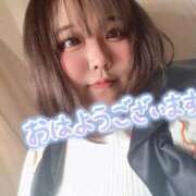 ヒメ日記 2026/01/29 08:08 投稿 なぎ 名古屋ちゃんこ