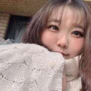 ヒメ日記 2026/02/01 11:48 投稿 なぎ 名古屋ちゃんこ