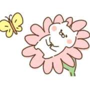 ヒメ日記 2026/02/15 22:53 投稿 なぎ 名古屋ちゃんこ