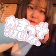 ヒメ日記 2026/03/03 00:10 投稿 なぎ 名古屋ちゃんこ