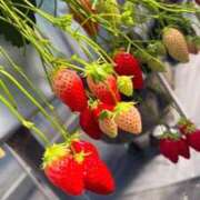 ヒメ日記 2026/03/11 10:28 投稿 なぎ 名古屋ちゃんこ