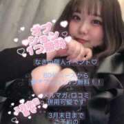 ヒメ日記 2026/03/12 16:05 投稿 なぎ 名古屋ちゃんこ