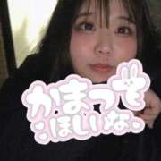 ヒメ日記 2026/03/18 01:35 投稿 なぎ 名古屋ちゃんこ