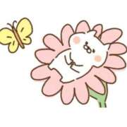 ヒメ日記 2026/03/28 09:28 投稿 なぎ 名古屋ちゃんこ