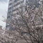 ヒメ日記 2026/03/30 19:58 投稿 なぎ 名古屋ちゃんこ