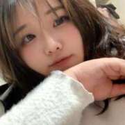 ヒメ日記 2026/04/03 10:48 投稿 なぎ 名古屋ちゃんこ