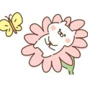 ヒメ日記 2026/04/03 11:18 投稿 なぎ 名古屋ちゃんこ