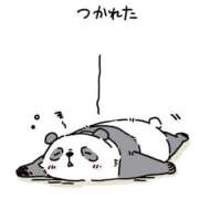 ヒメ日記 2026/06/24 11:58 投稿 なぎ 名古屋ちゃんこ