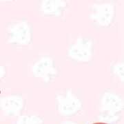 ヒメ日記 2026/06/26 08:28 投稿 なぎ 名古屋ちゃんこ