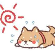 ヒメ日記 2026/06/28 07:58 投稿 なぎ 名古屋ちゃんこ