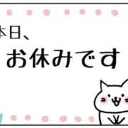 ヒメ日記 2026/06/30 07:58 投稿 なぎ 名古屋ちゃんこ
