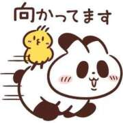 ヒメ日記 2026/07/14 11:28 投稿 なぎ 名古屋ちゃんこ