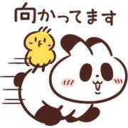 ヒメ日記 2026/07/15 11:18 投稿 なぎ 名古屋ちゃんこ