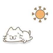 ヒメ日記 2026/07/21 12:03 投稿 なぎ 名古屋ちゃんこ