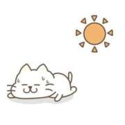 ヒメ日記 2026/07/23 13:01 投稿 なぎ 名古屋ちゃんこ