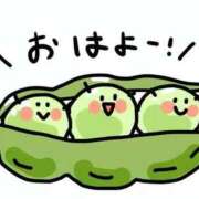 ヒメ日記 2026/08/21 07:18 投稿 なぎ 名古屋ちゃんこ