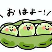 ヒメ日記 2026/08/26 07:18 投稿 なぎ 名古屋ちゃんこ