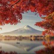 ヒメ日記 2025/11/17 10:08 投稿 しずく MOISTLIP