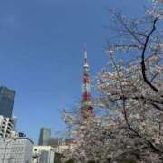 ヒメ日記 2025/04/05 17:07 投稿 加藤みさき 東京不倫 渋谷店