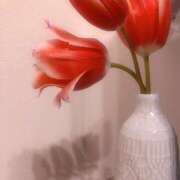 ヒメ日記 2025/04/10 08:37 投稿 加藤みさき 東京不倫 渋谷店