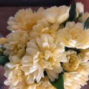 ヒメ日記 2025/04/24 21:17 投稿 加藤みさき 東京不倫 渋谷店