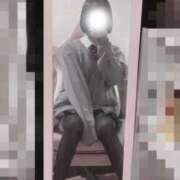 ヒメ日記 2025/04/14 09:44 投稿 なえ 電車でGOAL！