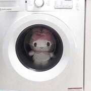 ヒメ日記 2025/08/01 11:08 投稿 なえ 電車でGOAL！