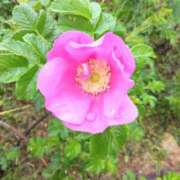 ヒメ日記 2025/05/10 14:40 投稿 林田恵奈 五十路マダム 郡山店