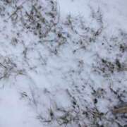 ヒメ日記 2026/01/26 16:58 投稿 林田恵奈 五十路マダム 郡山店