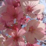 ヒメ日記 2026/04/17 19:16 投稿 林田恵奈 五十路マダム 郡山店