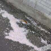 ヒメ日記 2026/04/22 10:38 投稿 林田恵奈 五十路マダム 郡山店