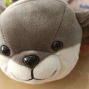 ヒメ日記 2025/10/05 12:50 投稿 あずさ 熟女の風俗最終章 仙台店