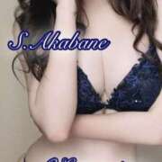 赤羽　さらさ アフロも田中 厚木OL委員会